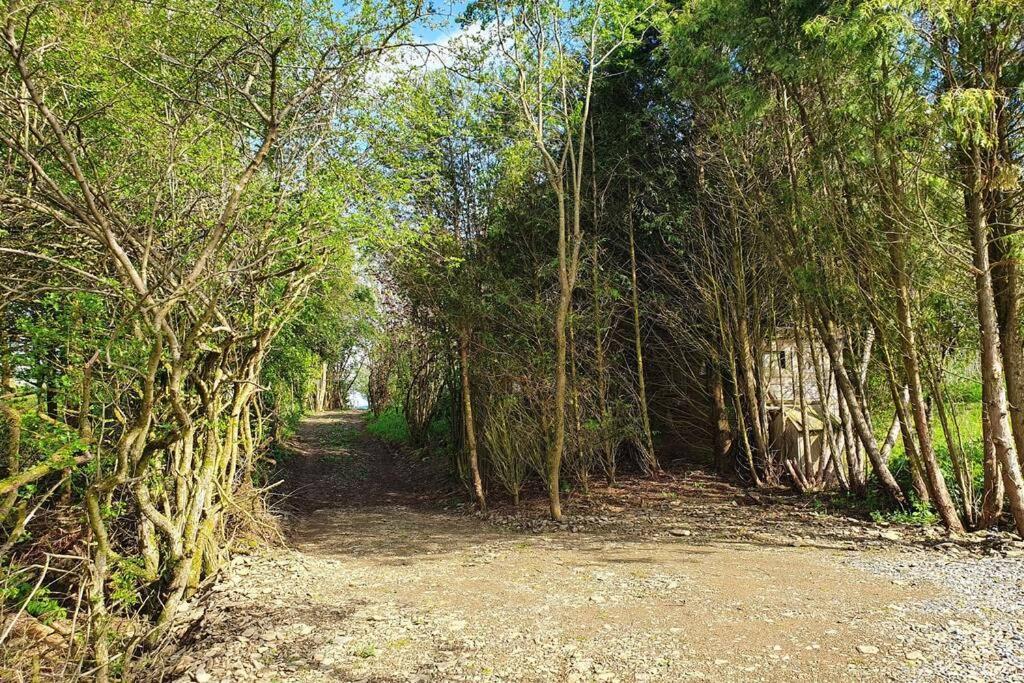 Le Chalet Des Oisai Wibrin Zewnętrze zdjęcie